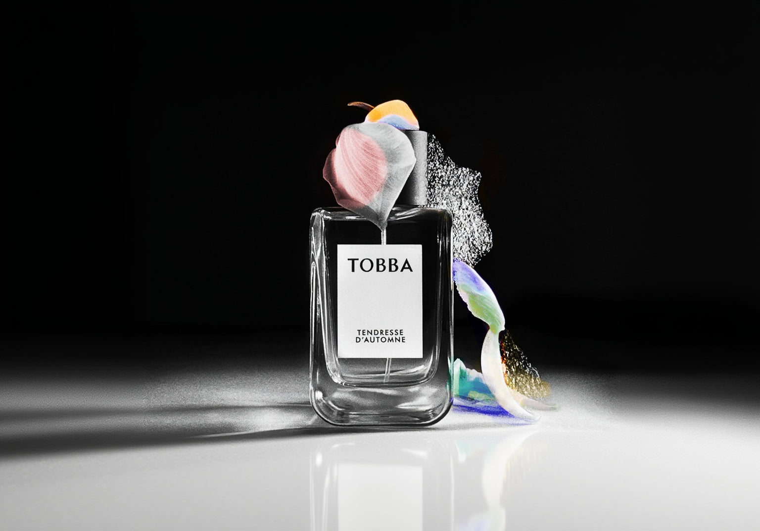 TENDRESSE D'AUTOMNE - TOBBA