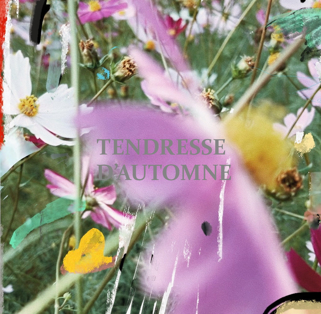 TENDRESSE D'AUTOMNE