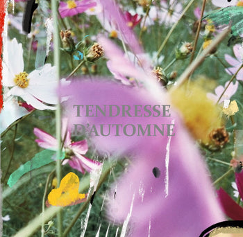 TENDRESSE D'AUTOMNE